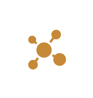 onsite-network-and-it-support